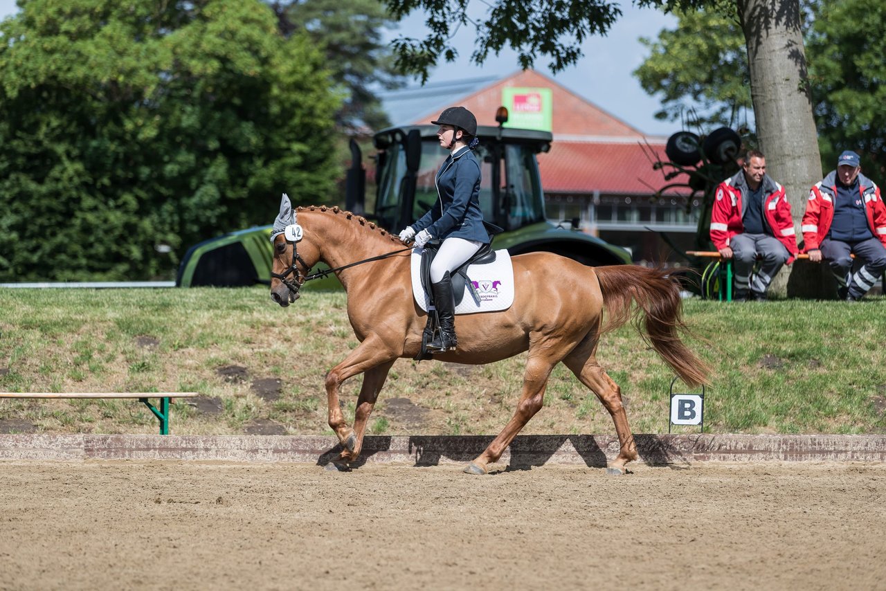 Bild 701 - Pony Akademie Turnier